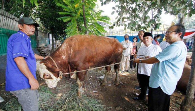 Gereja Katedral Jakarta Sumbang Sapi Kurban ke Masjid Istiqlal